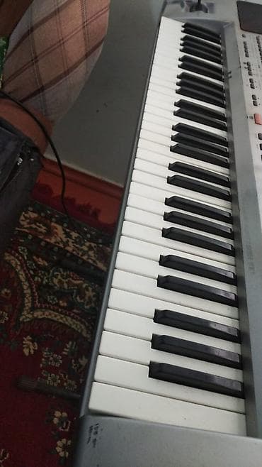 gitara sim: Sintezator, Korg, İşlənmiş — 5