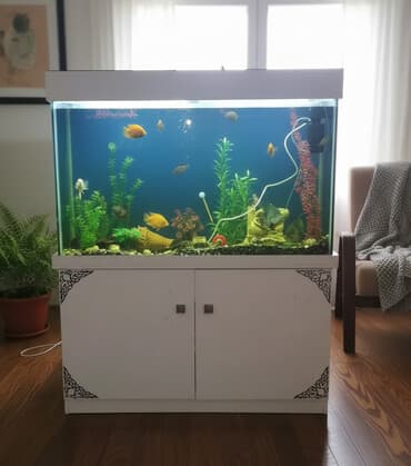 toyuq fermasi qurmaq: Akvarium-şkaf, Boş, 360 l, Ünvandan götürmə, Ödənişli çatdırılma, Rayonlara çatdırılma — 2