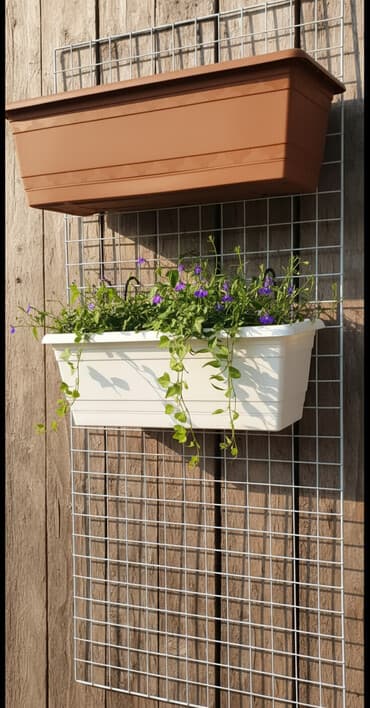 papatya gülü: Dibcek qabi asilan duzbucaqli balkon gul qabi asilan duzbucaqli balkon — 1