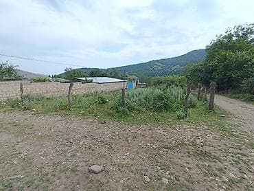 3 sot, Tikinti, Mülkiyyətçi, Kupça (Çıxarış) — 1
