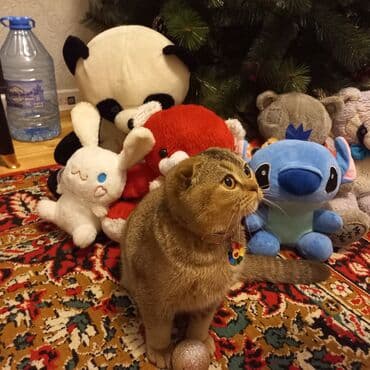 Daraq panellər: Fiqur — 1