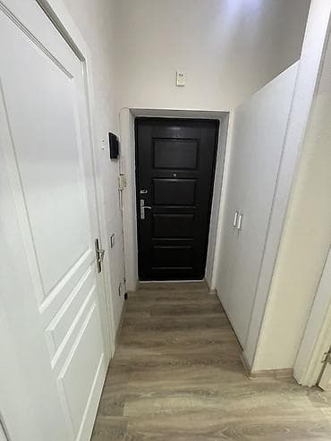 bakı kirayə evlər ucuz: Yeni tikili bina 7/9 mərtəbəsi kirayə verirəm. Lifti, geniş həyəti və — 1