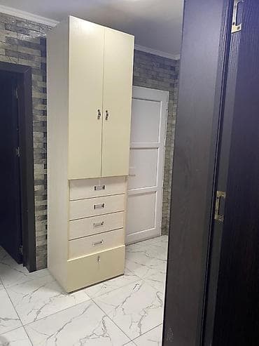 giris qapi: İşlənmiş, 2 qapılı, Siyirməli, Bej, Taxta, Açılan, Düz dolab — 1