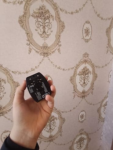 TV və video: Adapter — 2