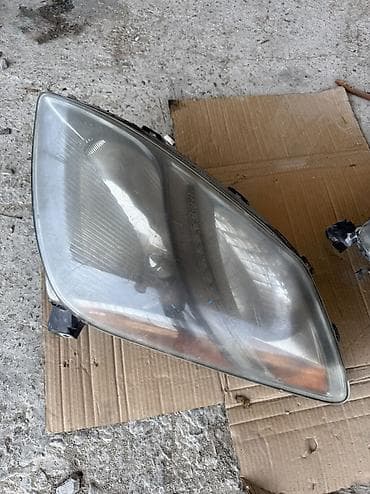 2 ədəd Pirus fara satılır. 100 AZN. Real alıcı ilə razılaşmaq olar — 2