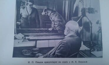 преступление и наказание: Продаются разные книги о знаменитых личностях: "Иван Павлов" 1952 год — 12