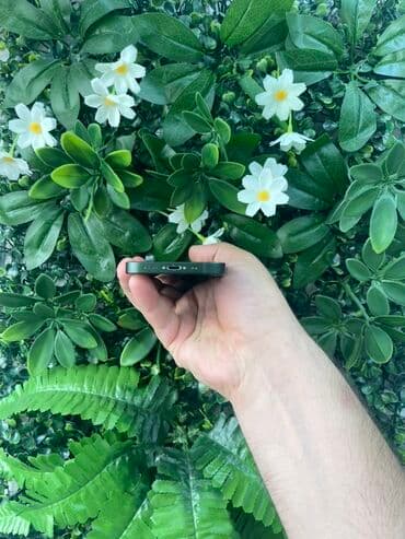 iphone 13 mini ikinci el: IPhone 13 mini, 128 GB, Yaşıl, Face ID, Zəmanət — 4