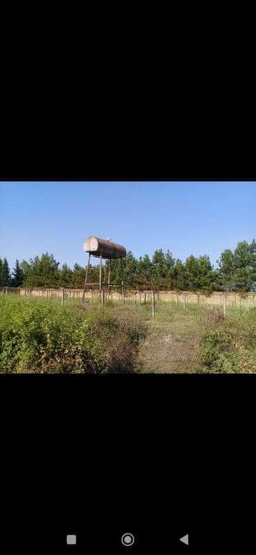 Qarajlar: Biznes üçün — 5