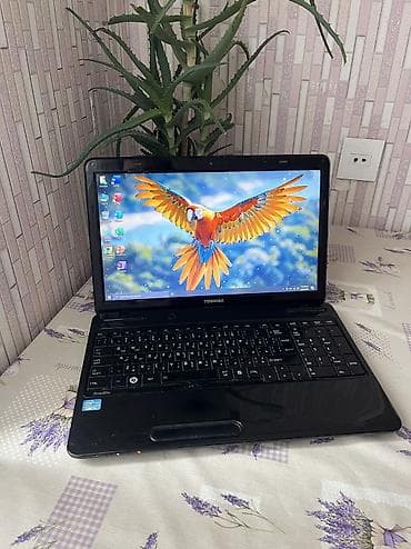 toshiba notebook qiymətləri: Toshiba, 15.6 ", Intel Core i5, 512 GB — 3