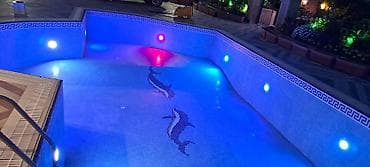 Hovuzların. yuyulması ve temiri - Hovuzların tam mozaika ilə