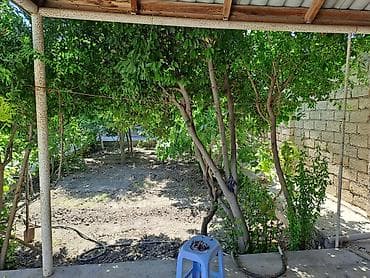 Bağ evlərinin satışı: Bakı, 250 kv. m, 6 otaqlı, Kanalizasiya, Kombi, Qaz — 3
