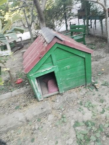 Taxtadan hazırlanmış hər növ itə uygün (budka) satılır. Quruluşu