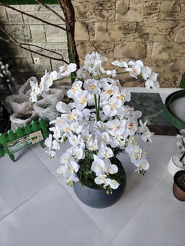 dekor güllər: Dekorativ orkide kompozisiyası – böyük ölçülü - Tərkib: ağ falenopsis — 3