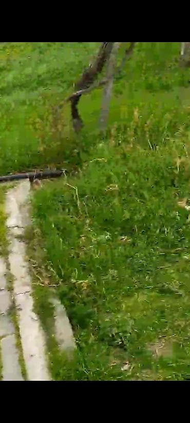 heyet evleri: 80 kv. m, 2 otaqlı, Kombi, Qaz, İşıq — 7