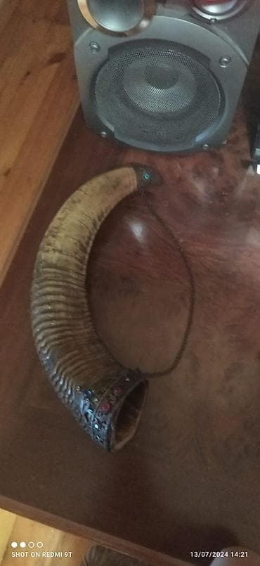 ev guzguler: Cutu birlikde satilir,dag qoyunun buynuzlaridir — 2