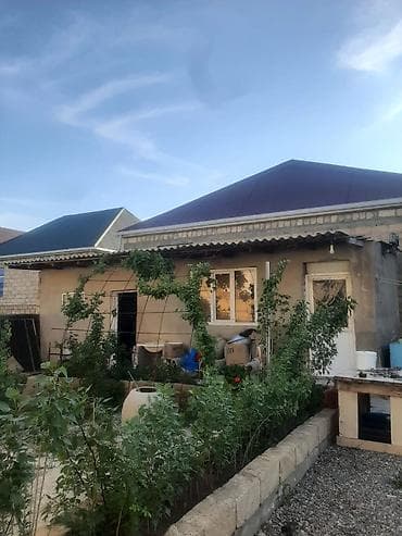 bina az berde: Masazır 3 otaqlı, 80 kv. m — 2
