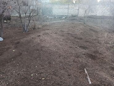 dibcək gulləri ev gulleri ve adlari: Toz halinda mal peyini - kisesi 2,60 q. ( boyuk kepek kisesinde) — 16