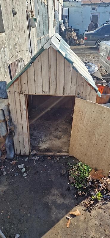 barter heyvanlar: Taxta it evi - Material: taxta karkas, üzəri rəngli metal/profilli — 3