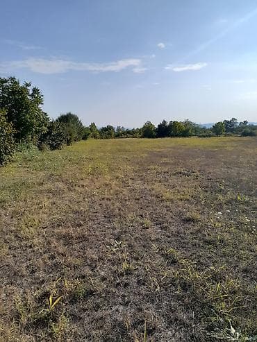 tap az kiraye evler memar ecemi: 150 sot, Biznes üçün, Mülkiyyətçi, Kupça (Çıxarış) — 4