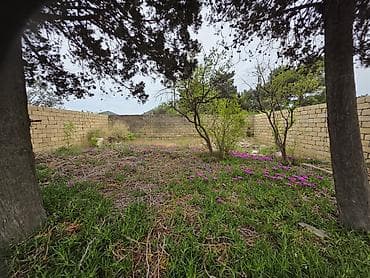 2 sot, Tikinti, Mülkiyyətçi, Kupça (Çıxarış) — 6