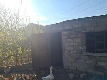 sedmoyda kiraye evler: Для строительства — 6