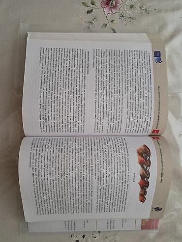 İdman və hobbi: Biologiya 11-ci sinif, 2022 il, Ünvandan götürmə — 6