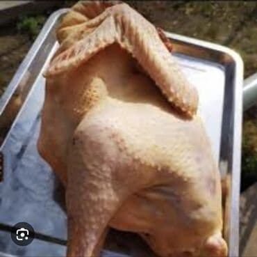 Toyuq.hinduşka.ördek ve qaz ütürem.kim istese yaza biler