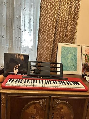 Musiqi alətləri: Midi-klaviatura, Casio — 2