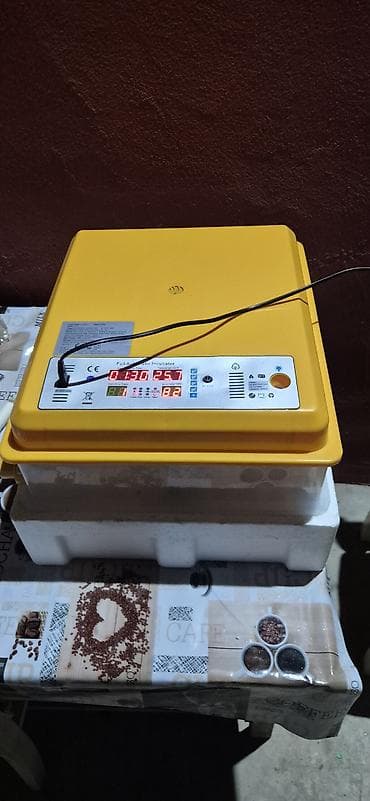 Inkubator tam aftomat 120 yumurtaliq demek olarki islenmeyib iki defe — 1