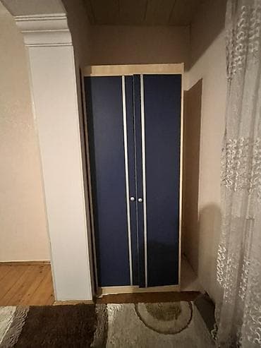 paltar wkaflari: İşlənmiş, 2 qapılı, Göy, Digər material, Açılan, Düz dolab — 2