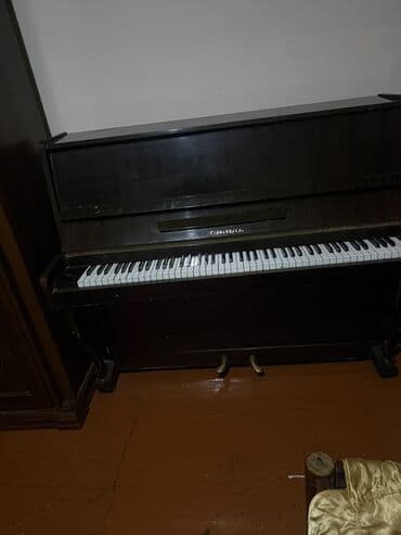 деревянные духовые музыкальные инструменты: Piano, Akustik — 2