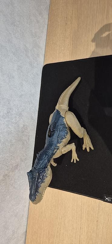 Столы для кормления: Giganotosaurus dinozavr action fiquru, bej və mavi rənglərdə təqdim — 3