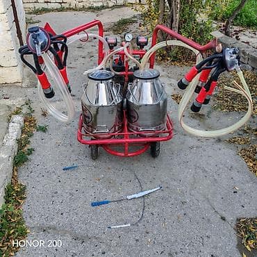 Süd sağan aparatlar: Cüt bidon, Türkiyə, Paslanmaz bidon — 3