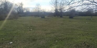 torpaq novxani: 24 sot, Kənd təsərrüfatı, Mülkiyyətçi, Kupça (Çıxarış) — 2