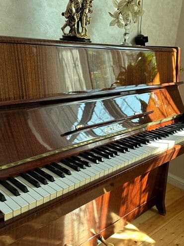 Fleytalar: Piano, Petrof, Akustik — 4