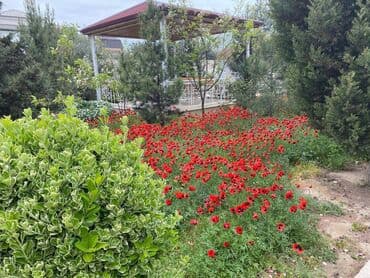 mərdəkan kiraye: 180 kv. m, 5 otaqlı, Qaz, İşıq, Su — 14