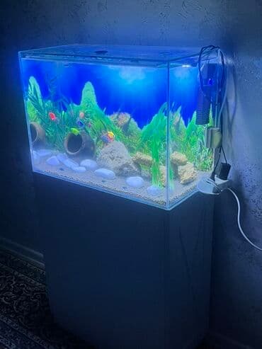 qus yuvasi duzeltmek: Akvarium-şkaf, Balıqlarla birlikdə, 90 l, Ödənişli çatdırılma — 6