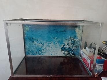 akvarium baki: Boş, 76 l, Ünvandan götürmə — 1