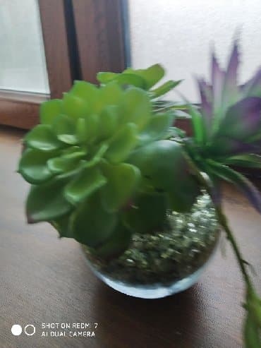 цветы искусственные: ИКЕА дерокация : 3 каменных цветка (искусственные).,щебень зелёного — 2