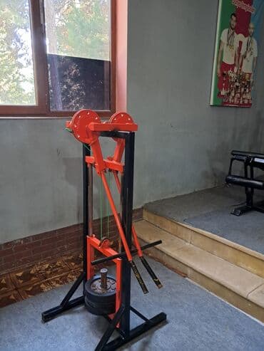 купить скейт круизер: Peşəkar trenajor dəsti – zal üçün ağır polad konstruksiyalı güc — 2