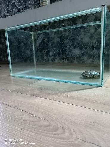 tap az akvarium: Şüşə akvarium tispaqa ilə birlikdə 20 manat. lazimdirsa zəng — 4