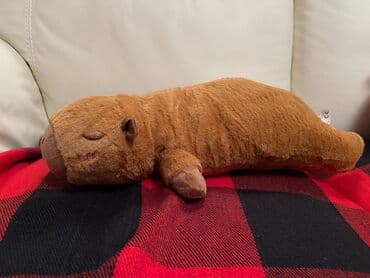 Uşaq arabaları: Salam Yastıq kimi kapibara satılır Çox yumşaqdır və təzə trenddir — 2