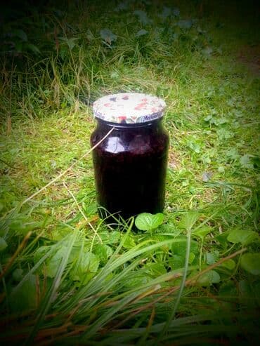 лекарство для похудения 7 дней: Böyürtkən mürəbbəsi 🌿 Tutumu : 1 kg/ 2 kg 🏞️ Şəki rayonunda ev — 1