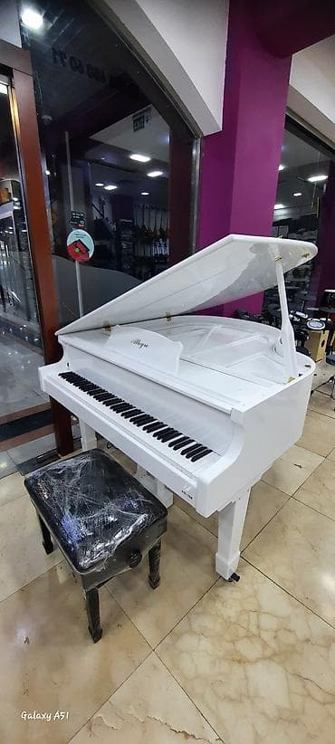 Тар: Elektro piano "Allegro" Royal royal ✅ Bir kart və Tam kartla 12, 18 — 1