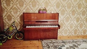 Piano, Belarus, Akustik