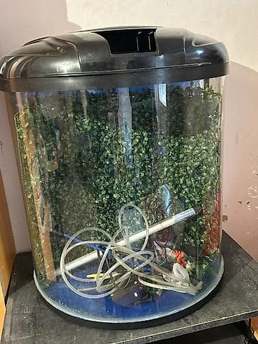 Boş, 140 l, Ünvandan götürmə