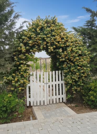 Bakı, Nardaran qəs., 82 kv. m, 3 otaqlı, İnternet