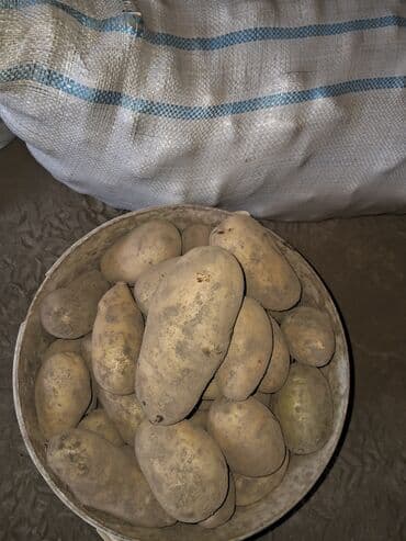 Мёд: Овощи — 4