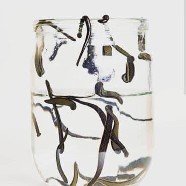 qaş formaları: Zəli satışı 🪱ibbi zeli. Səhiyyə Nazirliyi tərəfindən Azərbaycanda — 1