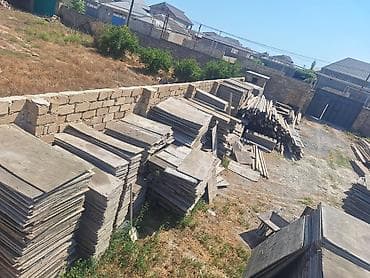 Digər: Dik taxda satlır ünvan Binə savxoz — 5